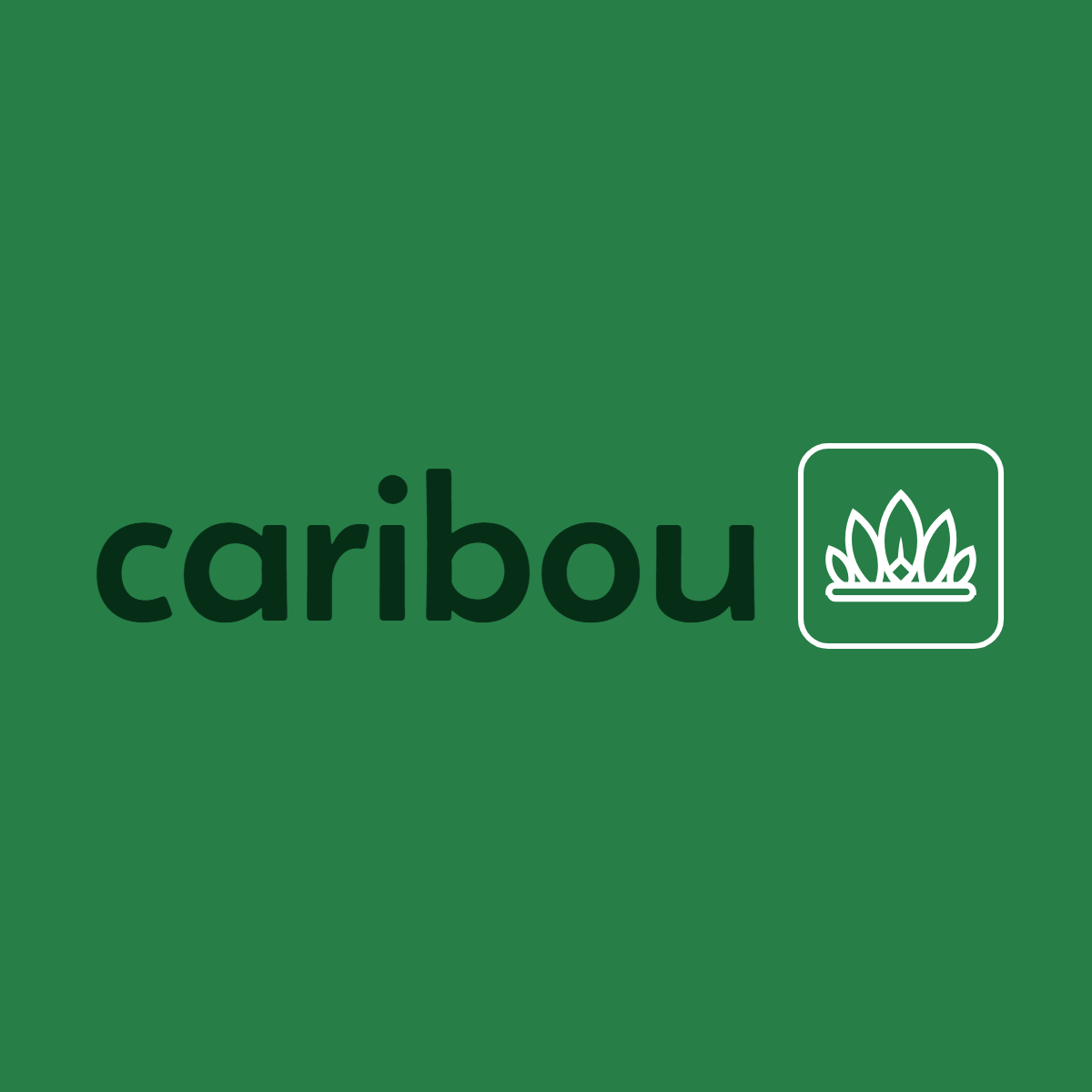 Tistory profile picture for @caribou