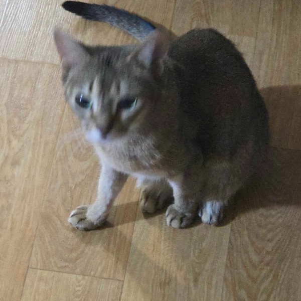 프로필사진