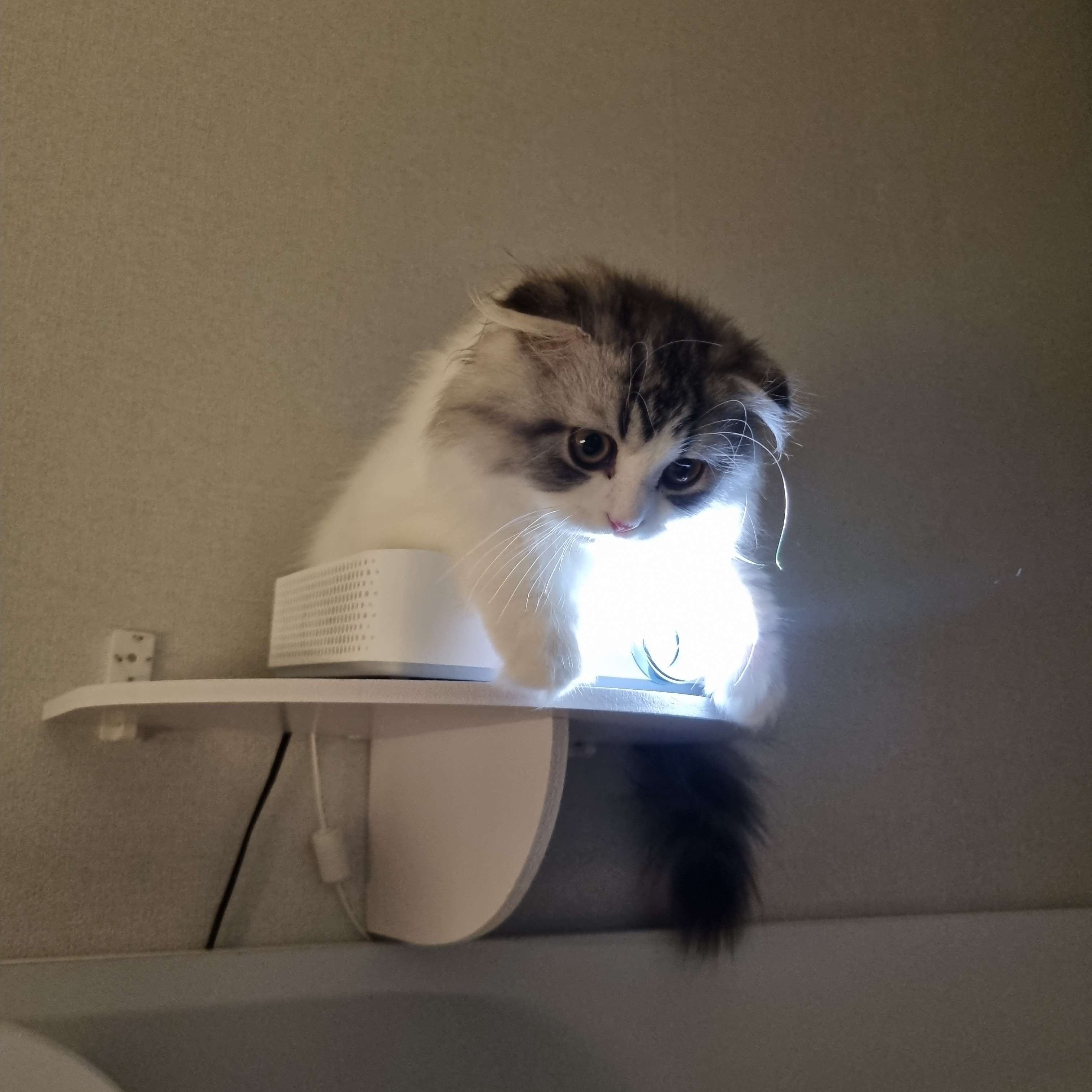 프로필사진