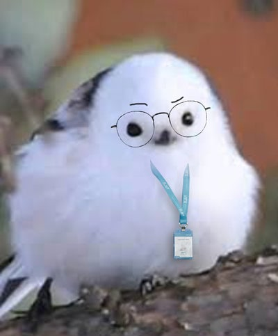 프로필사진