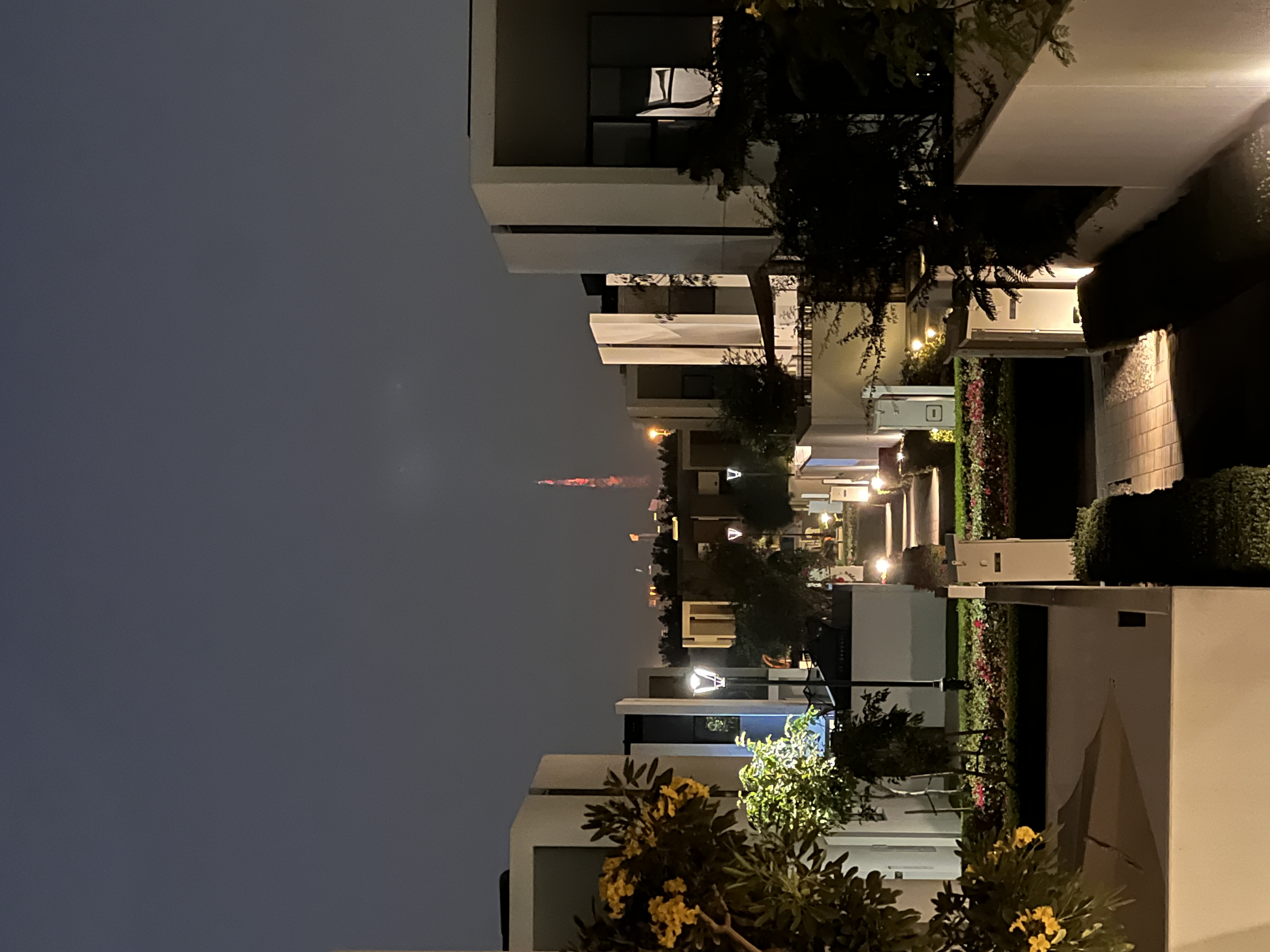 프로필사진
