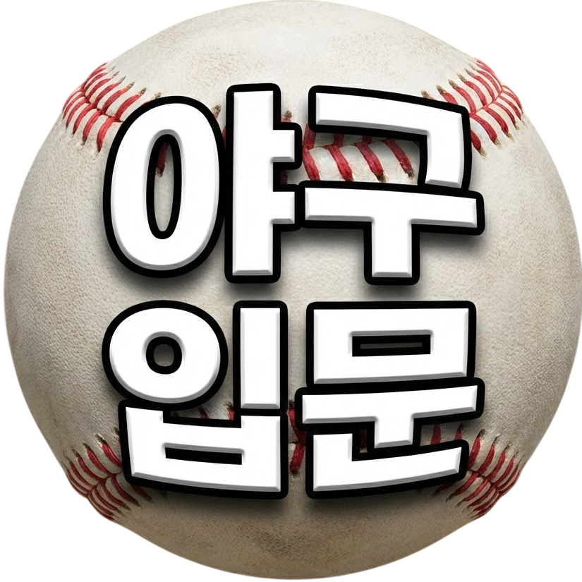 야구입문
