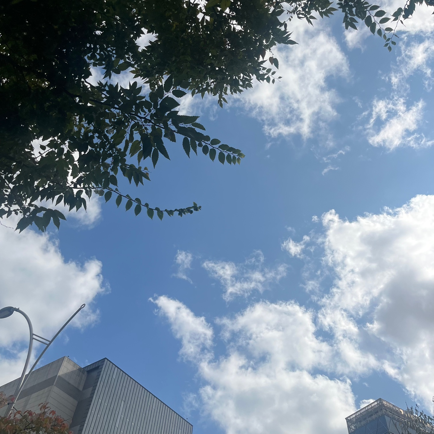 프로필사진