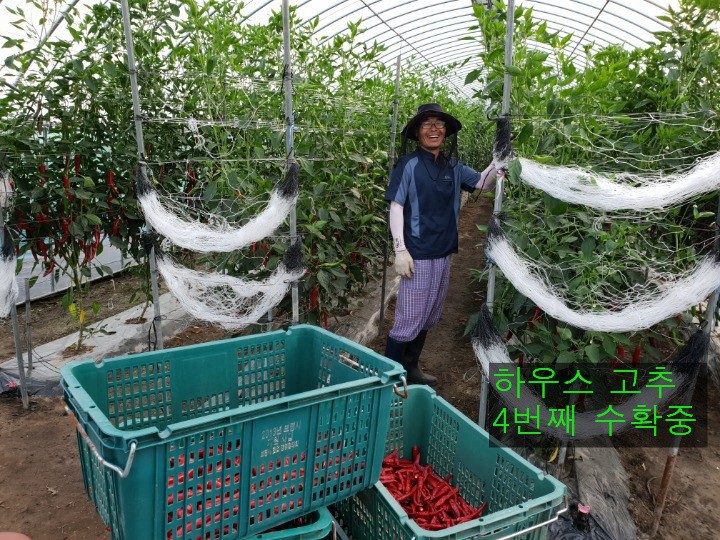 프로필사진