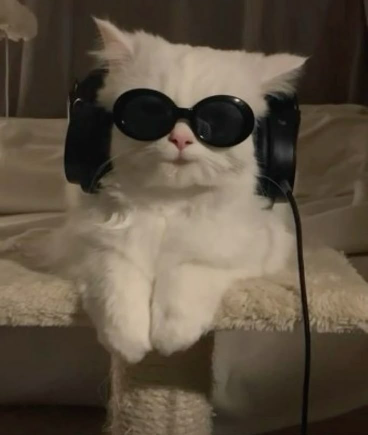 프로필사진