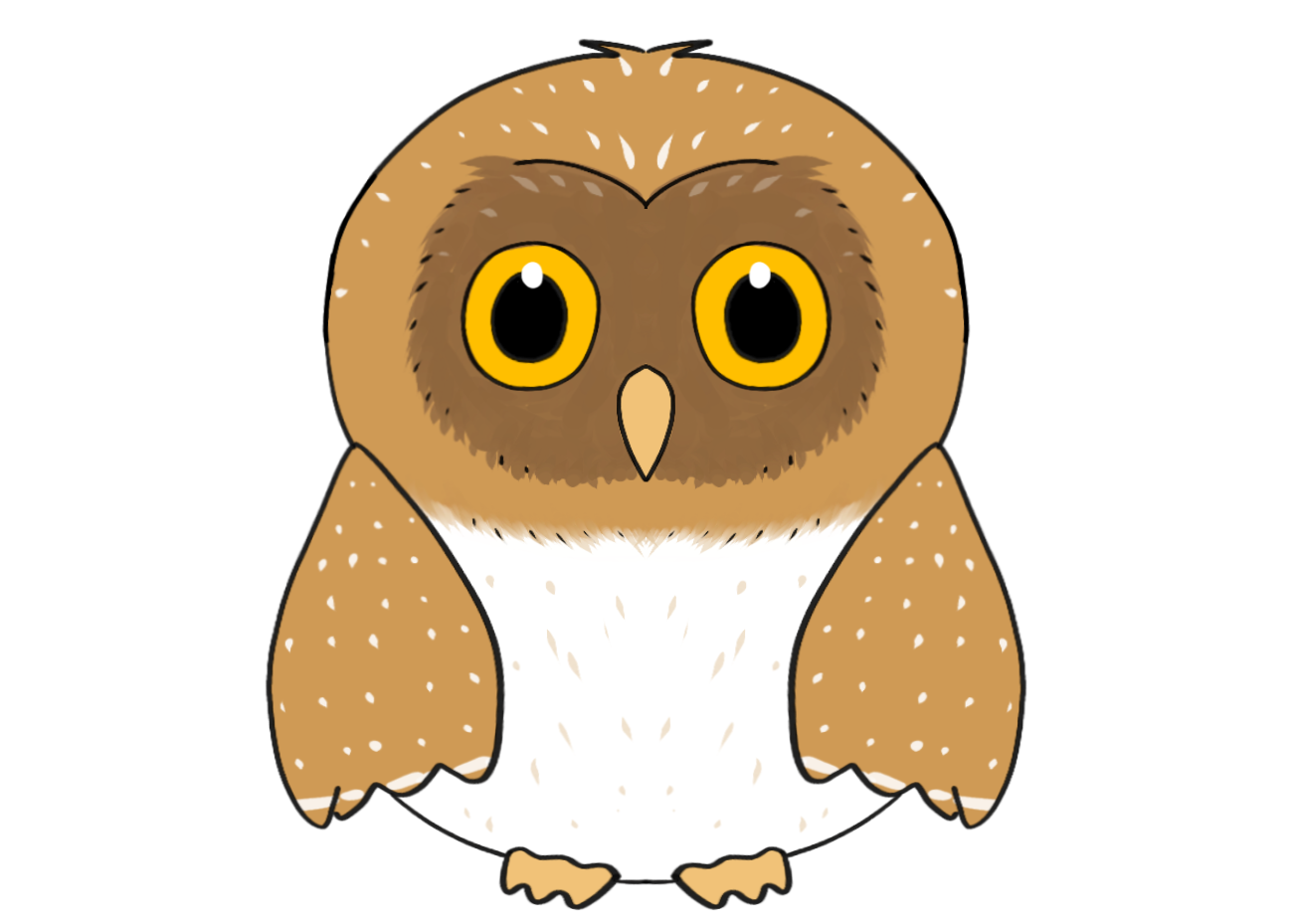 Owl Sit