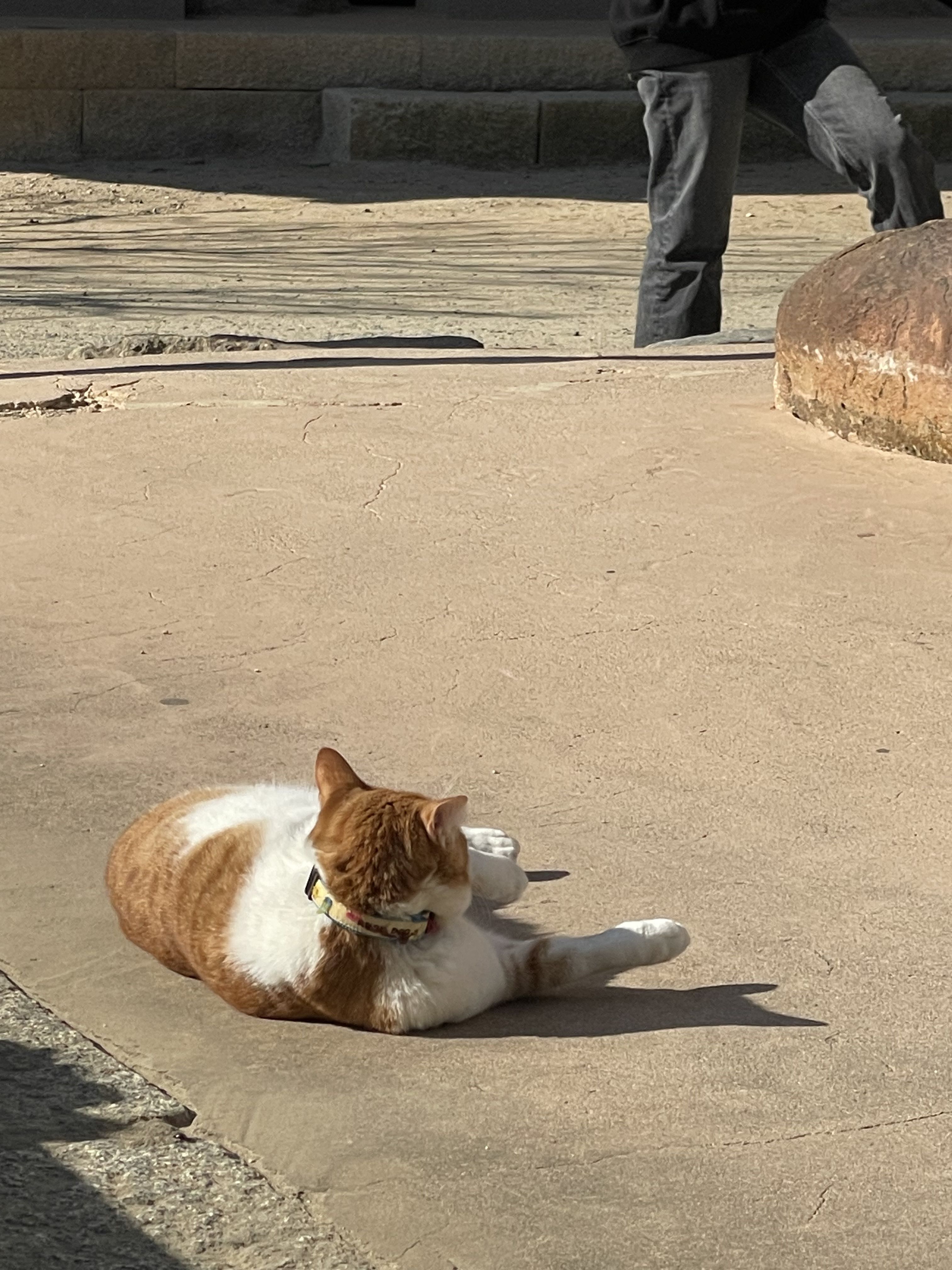 블로그 이미지