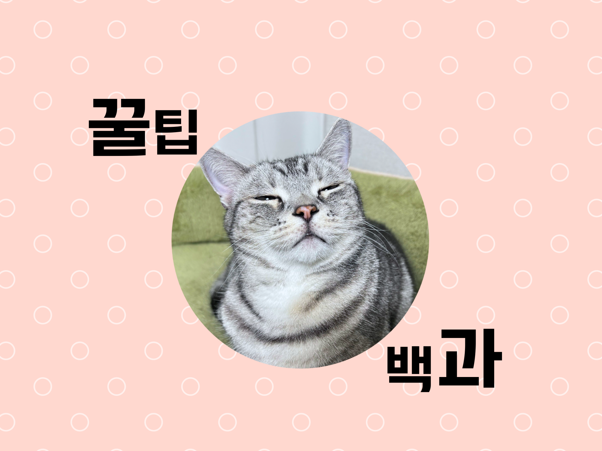 블로그 이미지