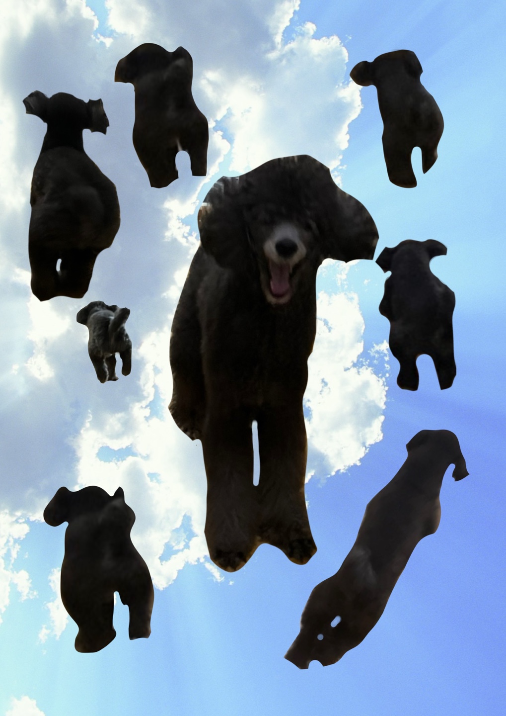 프로필사진