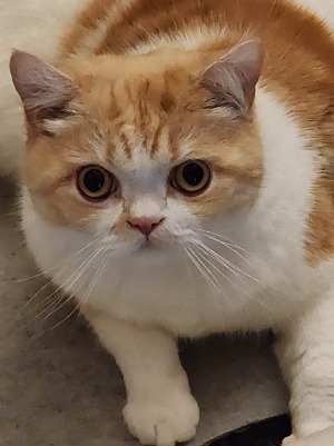 프로필사진