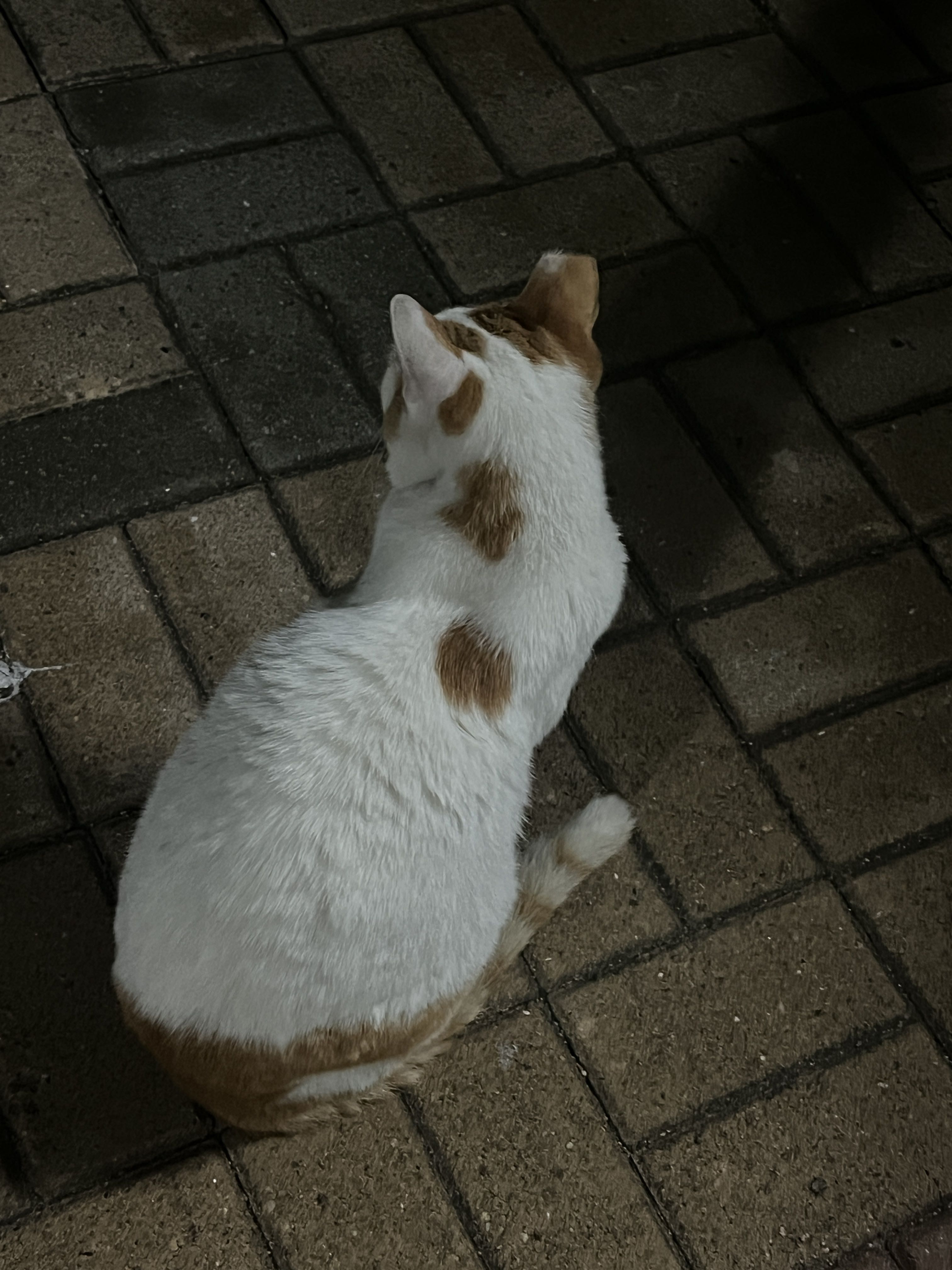 프로필사진