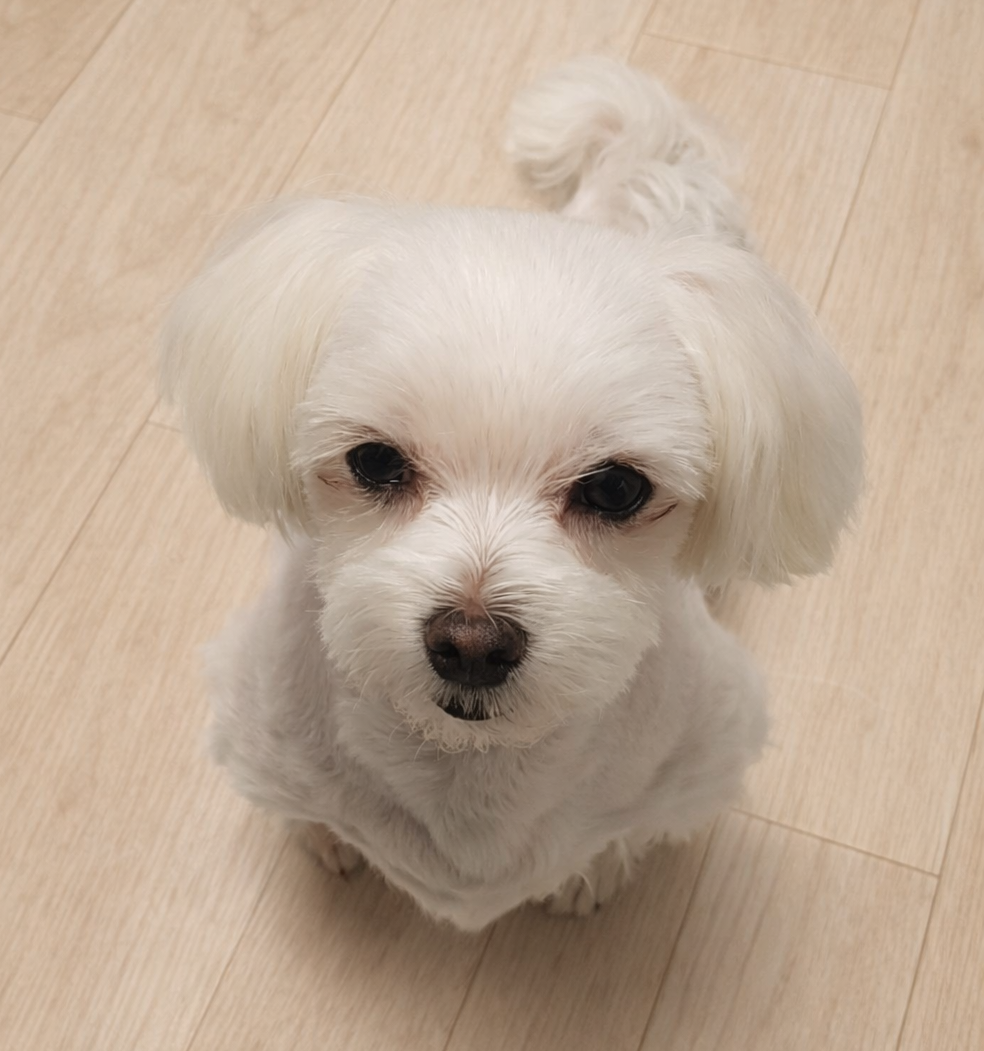프로필사진