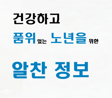 프로필사진