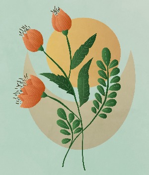 블로그 이미지
