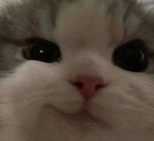 프로필사진