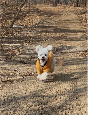 프로필사진