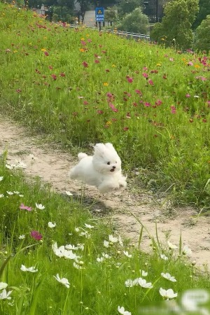 블로그 이미지