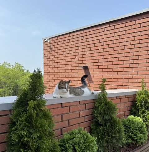 프로필사진