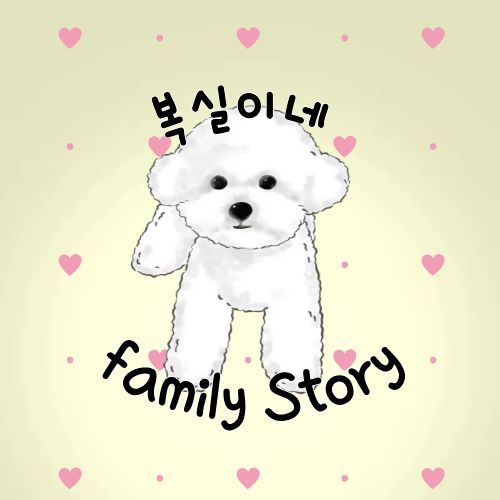 프로필사진