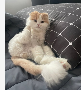 프로필사진