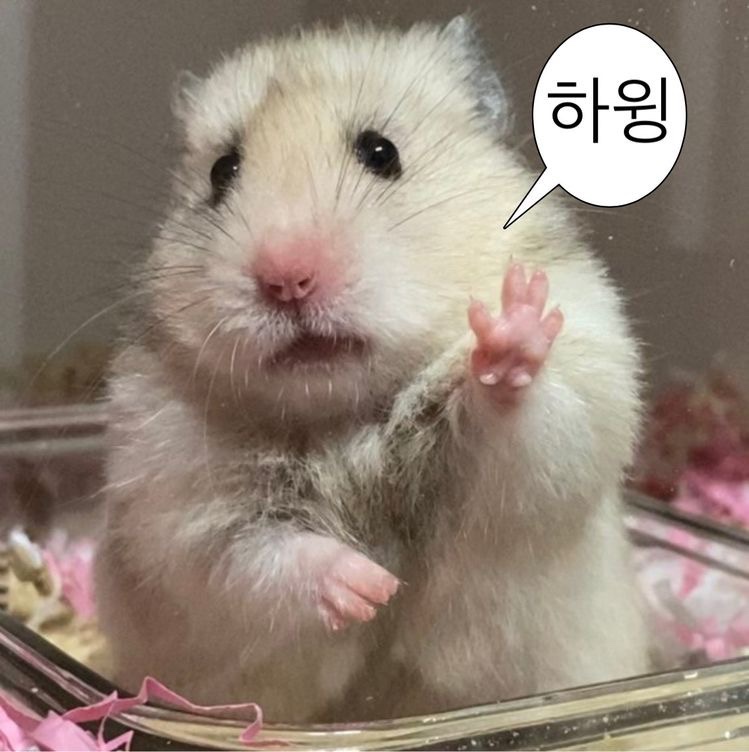 프로필사진