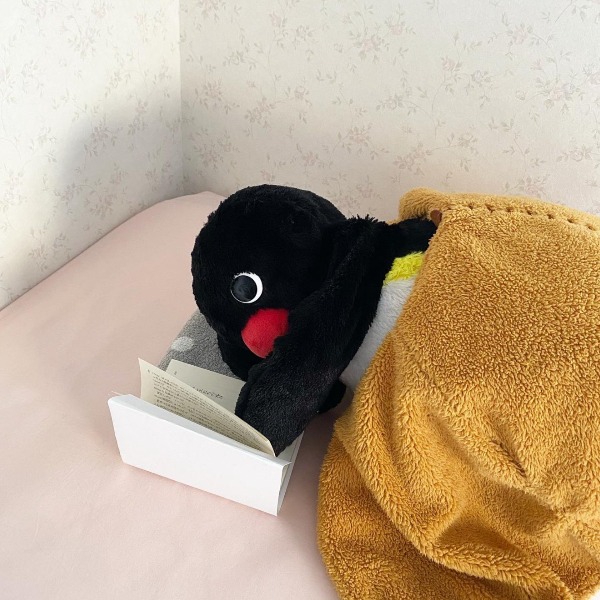 프로필사진