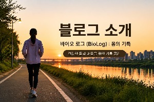 블로그 이미지