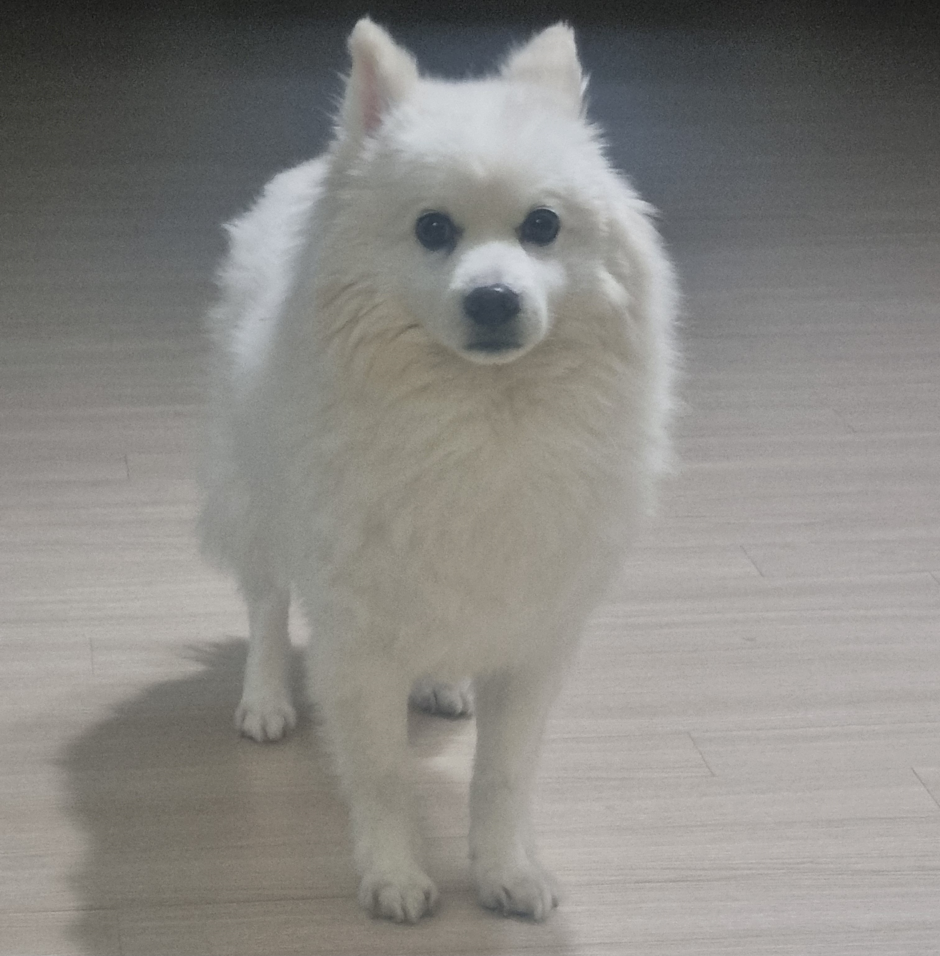 프로필사진