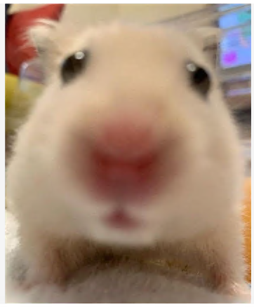 데구르르릉