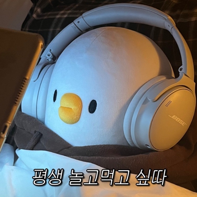 프로필사진