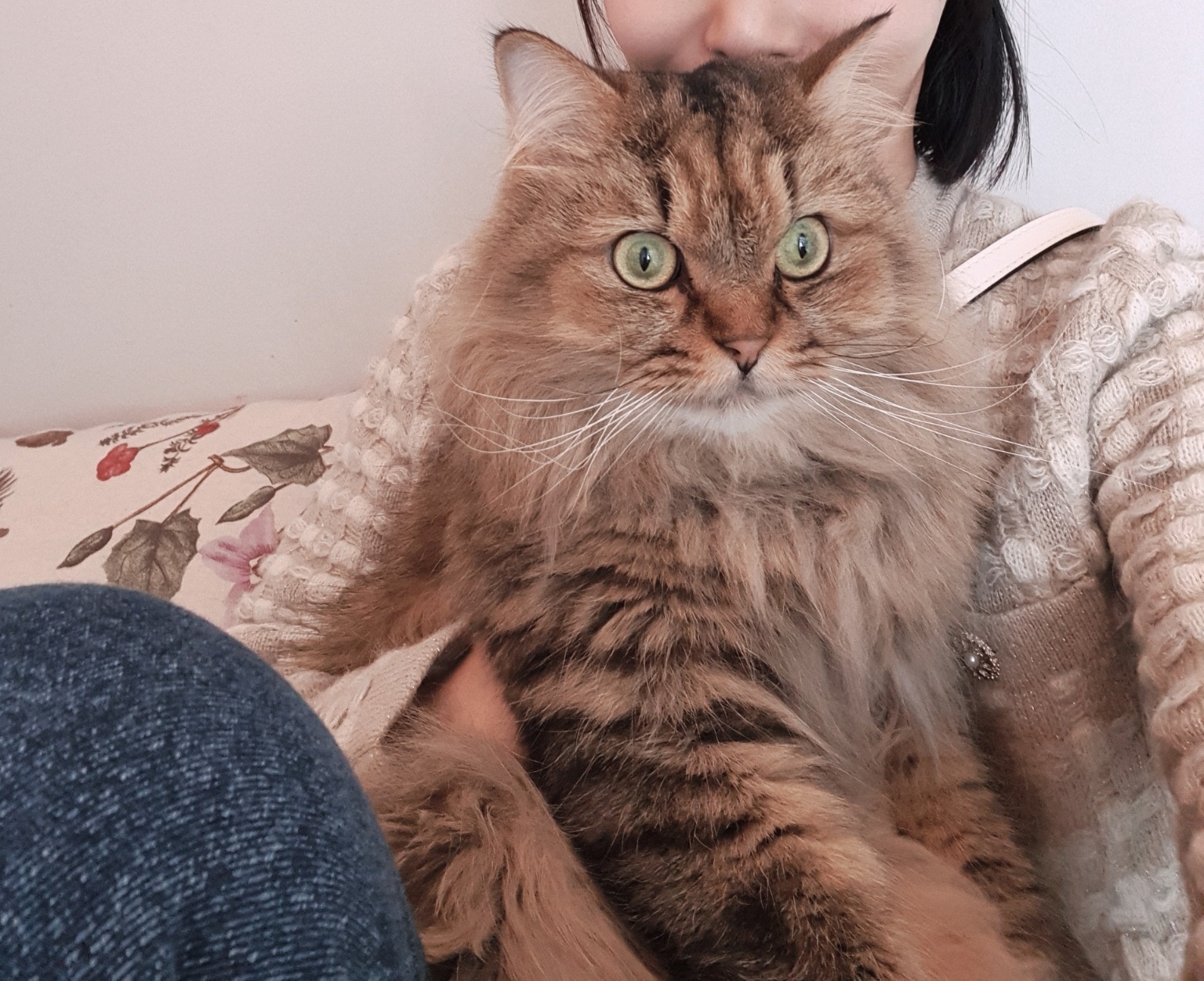프로필사진