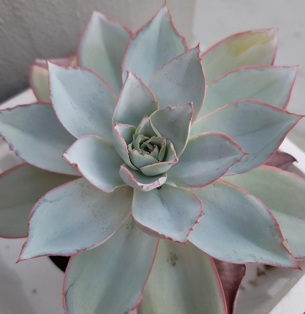 074b6634057b41588c59feb87cebe64c