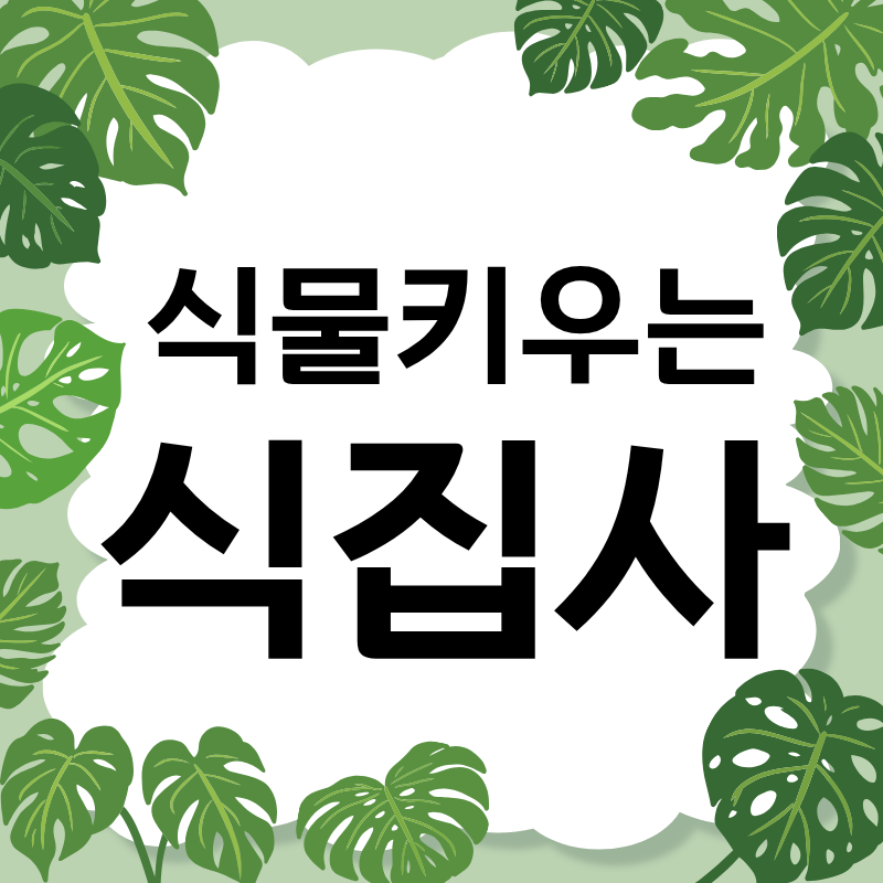 블로그 이미지