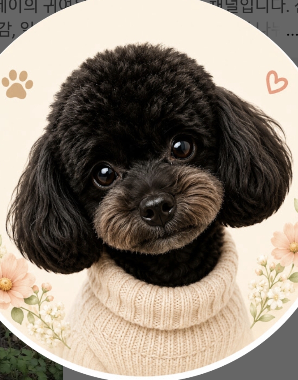 프로필사진