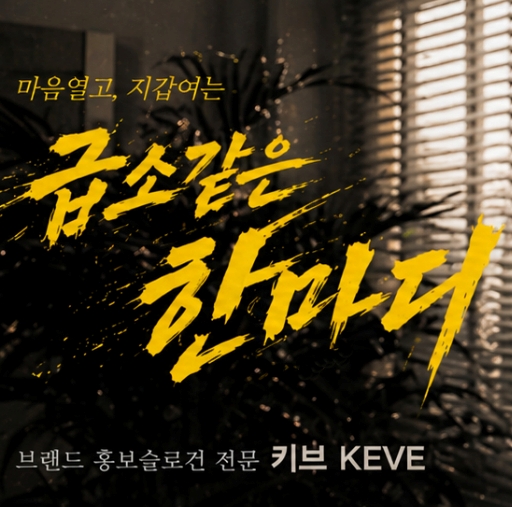 프로필사진