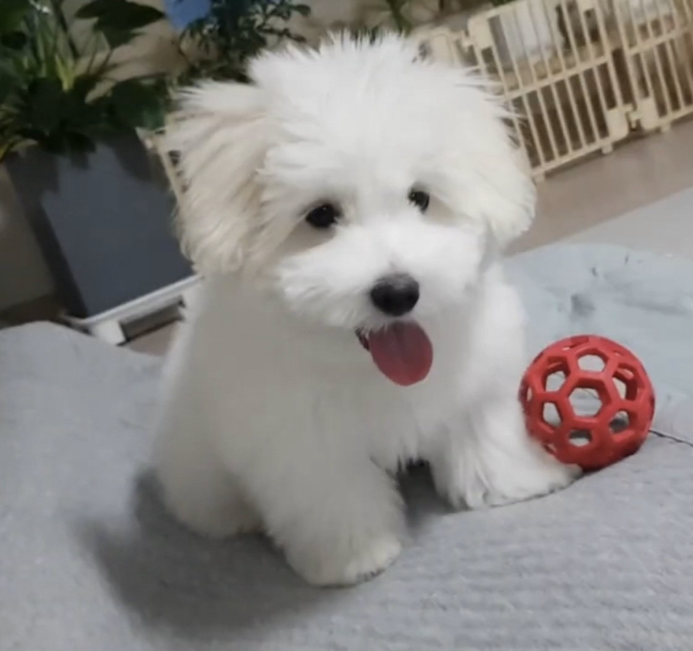 프로필사진