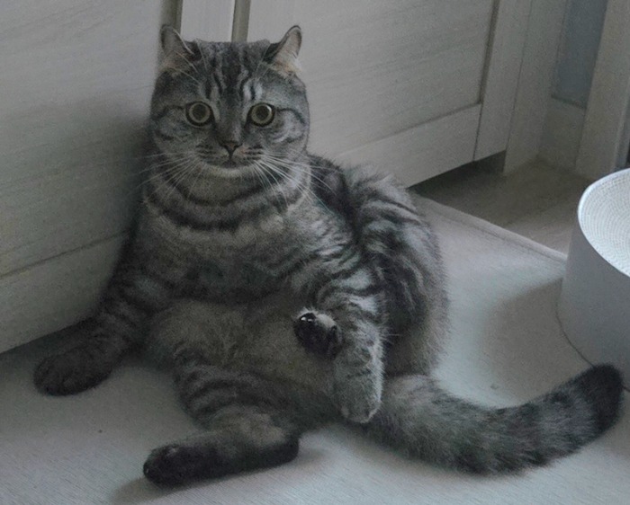 프로필사진