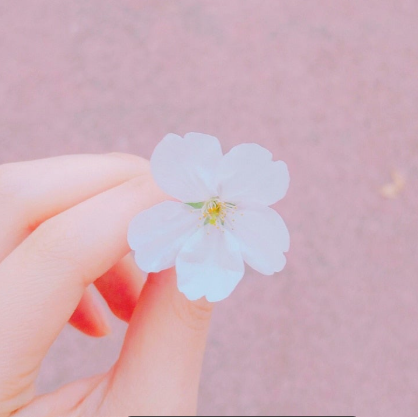 프로필사진