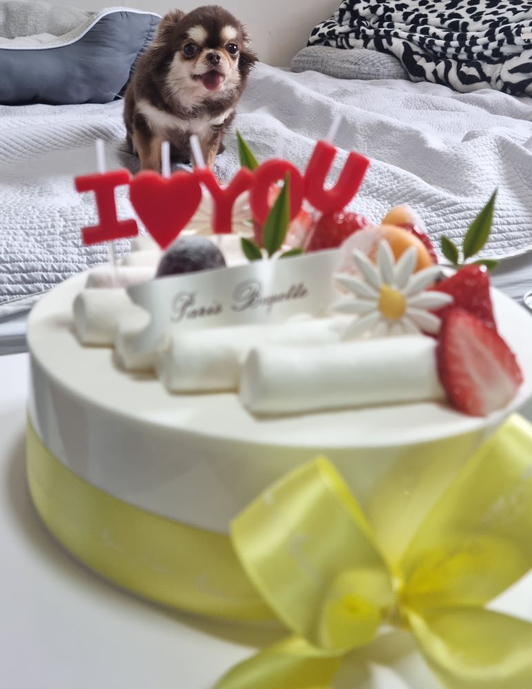 프로필사진