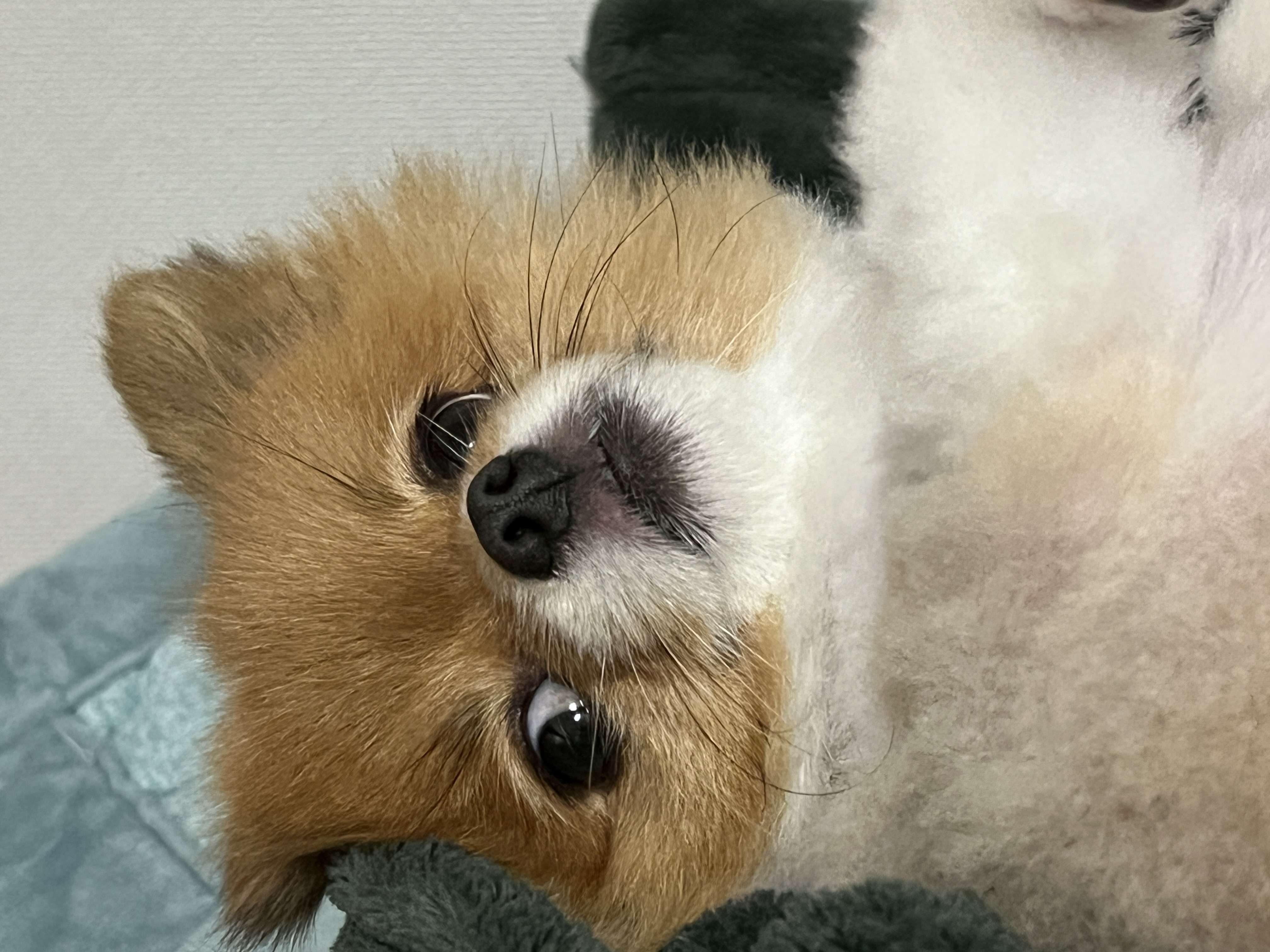 프로필사진