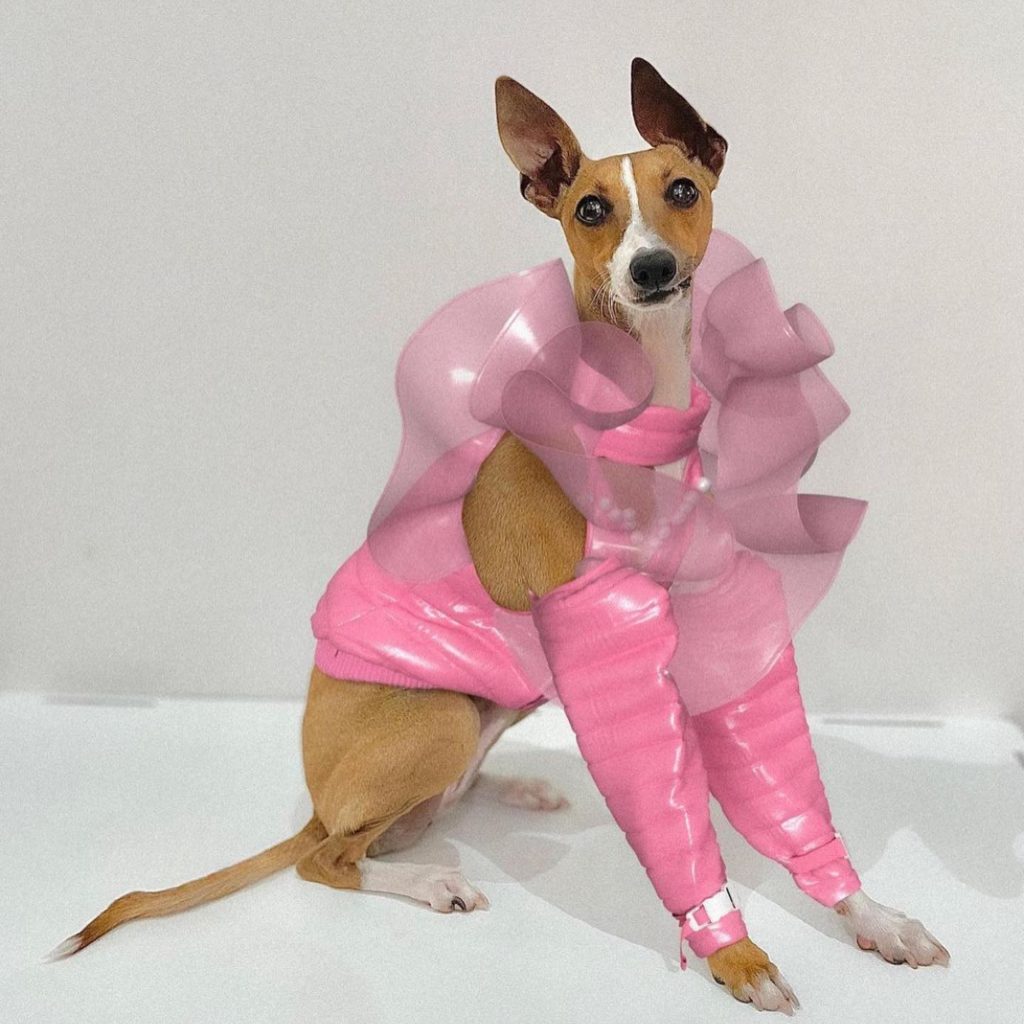 블로그 이미지