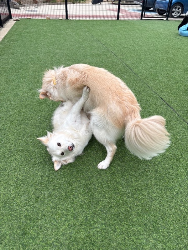 프로필사진