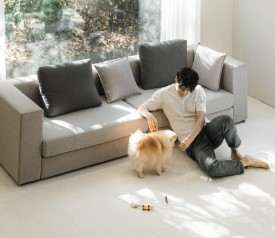 프로필사진