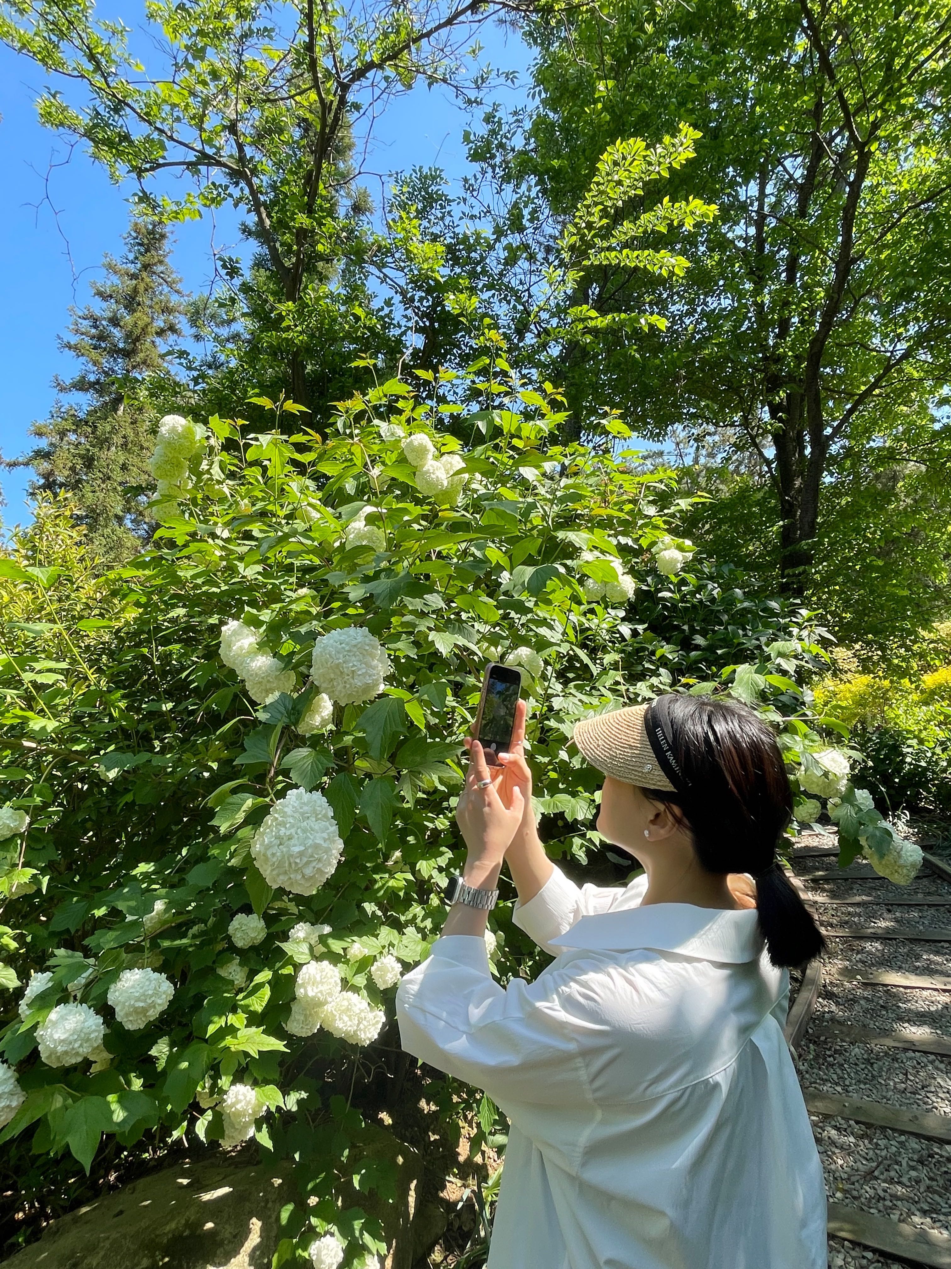 프로필사진