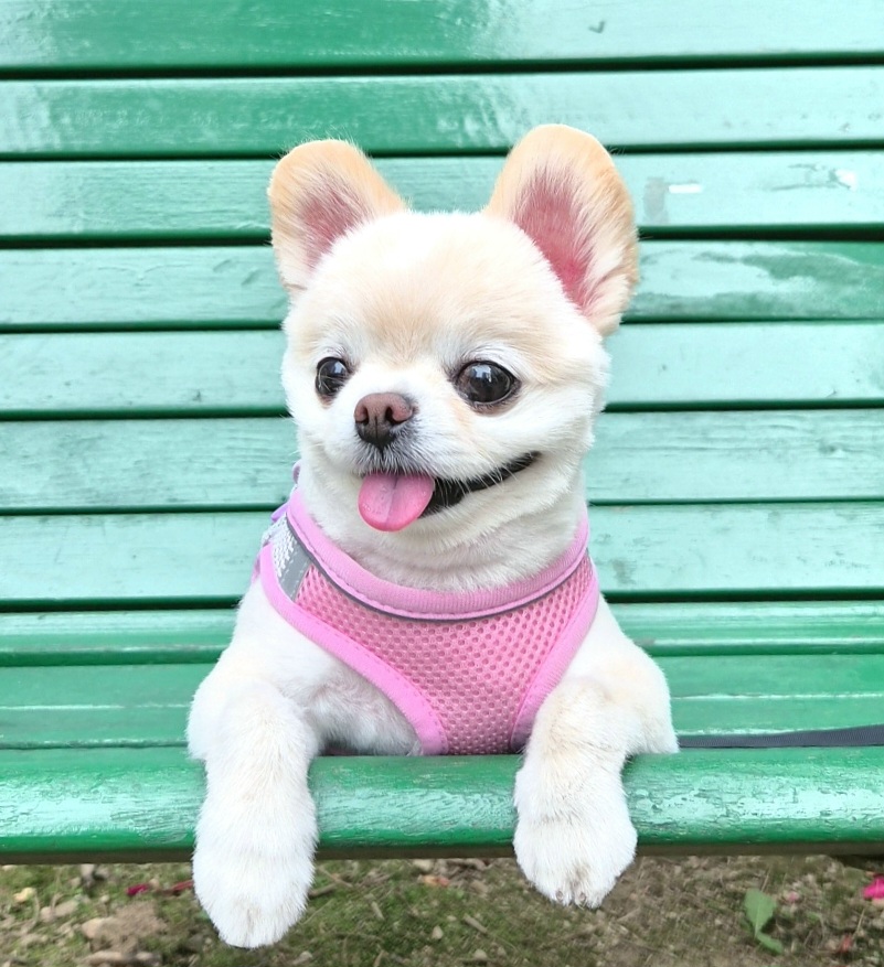 블로그 이미지
