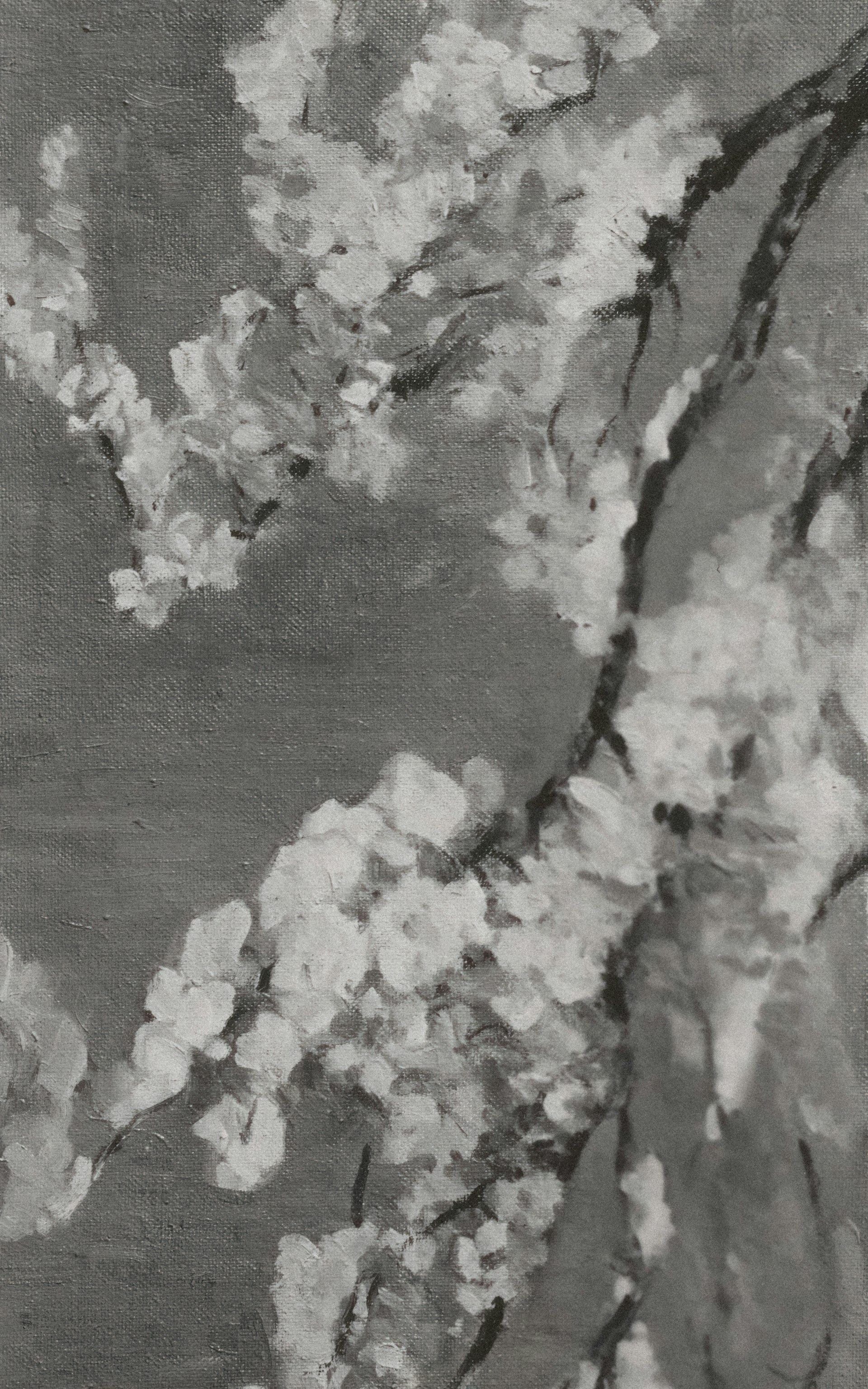 cover-img