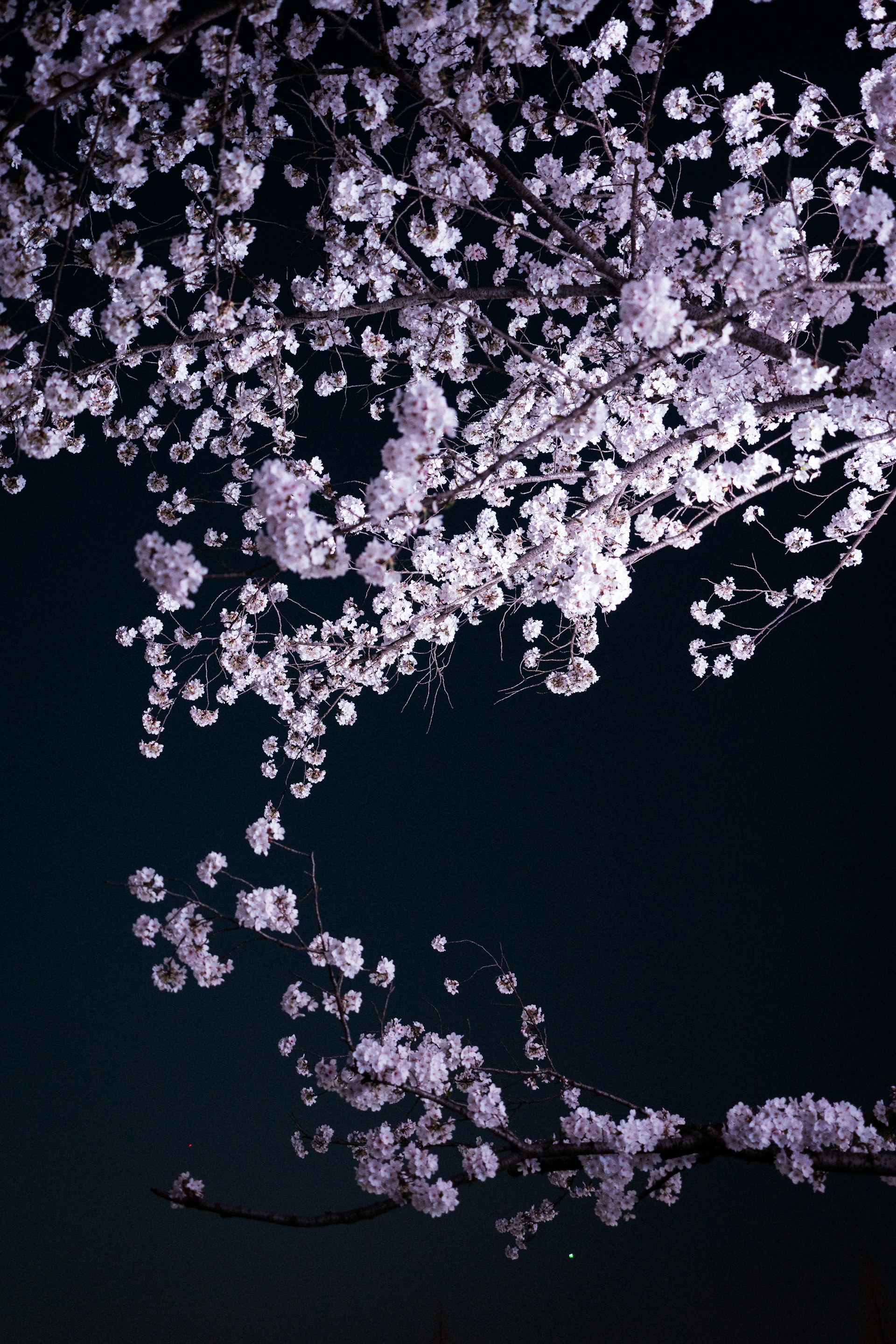 top-img