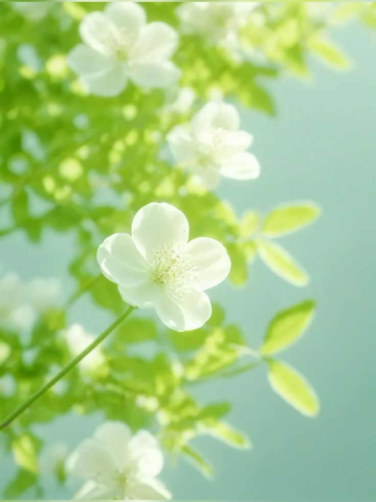 프로필사진