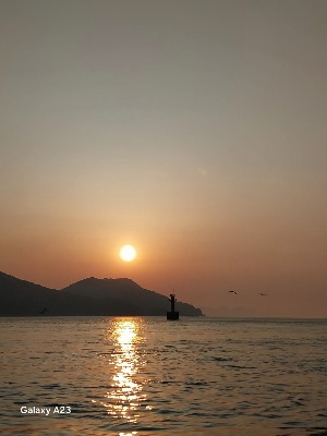 프로필사진