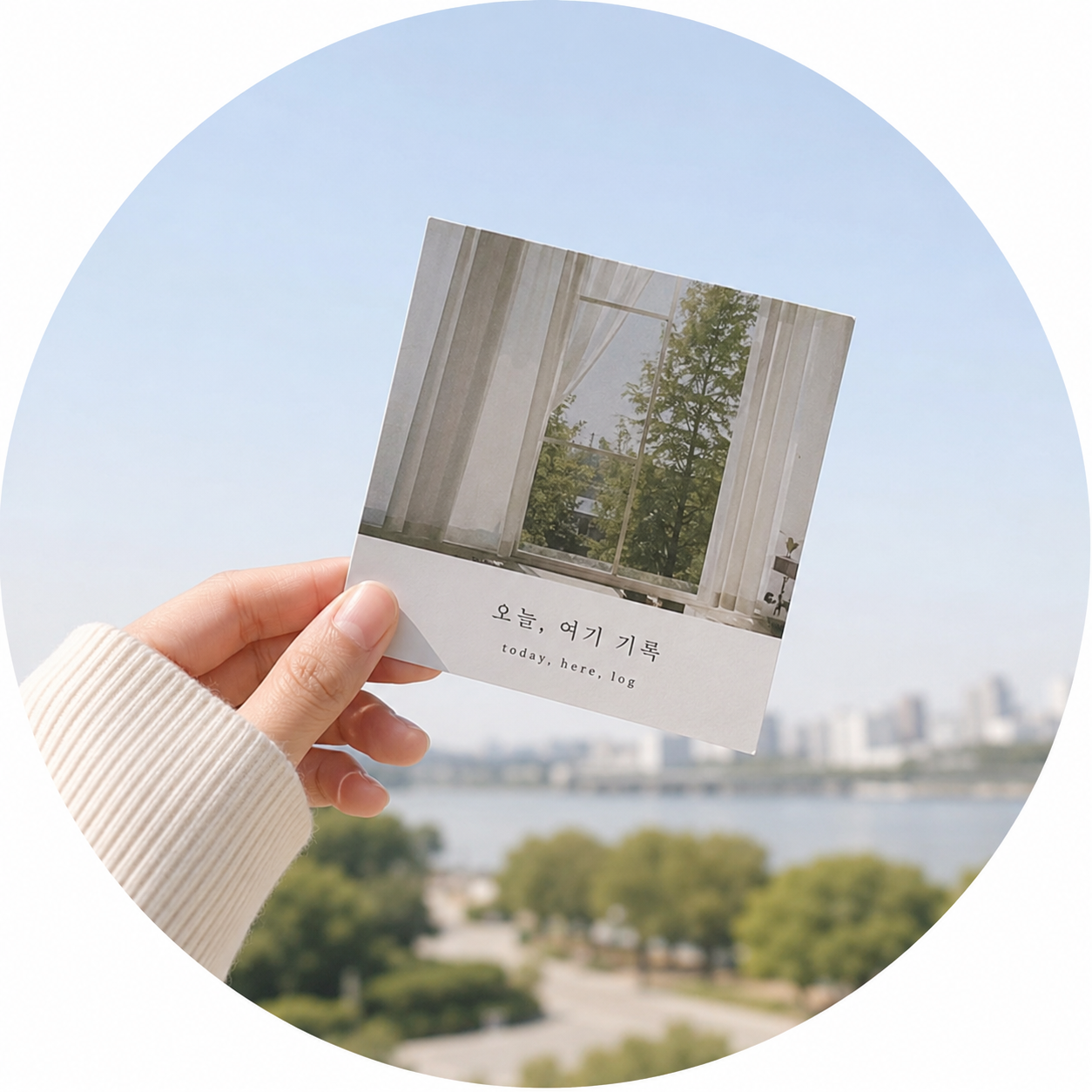 프로필사진